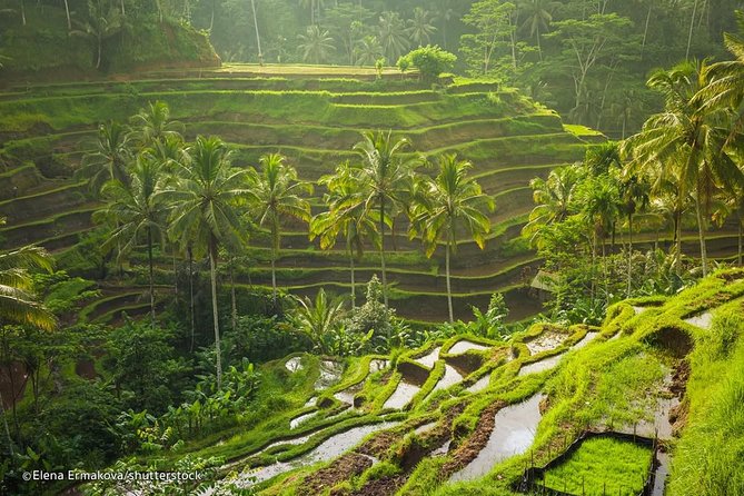 Ubud Surounding Tour - The “surrounding Ubud” idea, and what it means for your day