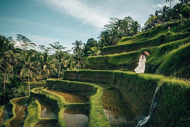 Ubud: Swing - Monkey Forest - Waterfall - Temple - Rice Terraces - Art Crafts - How this Ubud day trip saves your energy