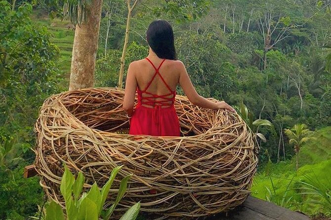 Ubud: Swing - Monkey Forest - Waterfall - Temple - Rice Terraces - Art Crafts - Sacred Monkey Forest Sanctuary: temples, shade, and the need for monkey manners