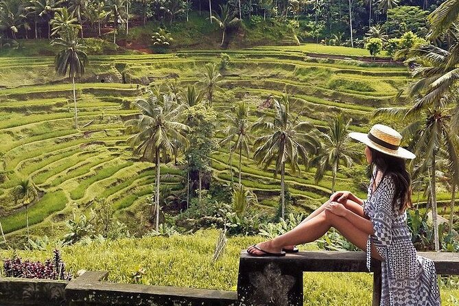 Ubud: Swing - Monkey Forest - Waterfall - Temple - Rice Terraces - Art Crafts - My Swing Bali: canopy views and photo help without the guesswork