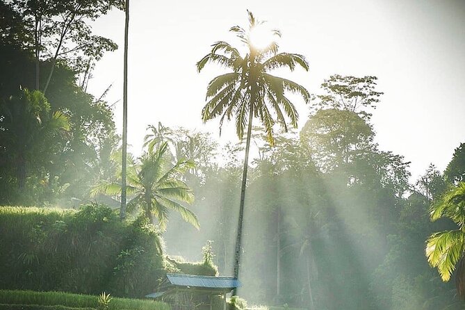 Ubud Temples, Waterfalls, Rice Terraces & Balinese Culture - Tukad Cepung Waterfall: Jungle Water, Slippery Rocks, and Real Fun