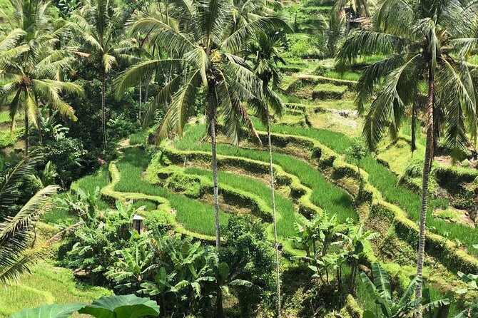 Ubud Temples, Waterfalls, Rice Terraces & Balinese Culture - Temple Time and Balinese Culture: What You Should Look For