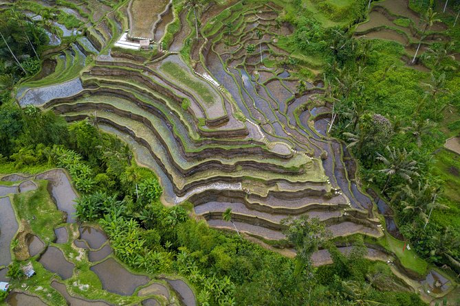 Ubud Top Attractions: Waterfalls, Temples and Rice Terraces - Gunung Kawi Sebatu Temple: koi ponds and a quieter pace