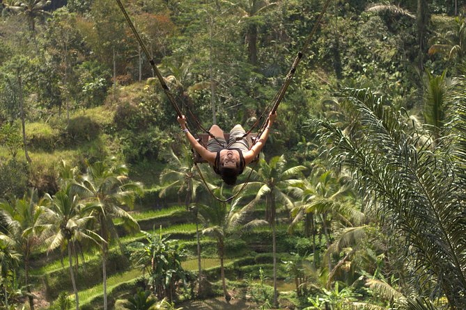 Ubud Top Attractions: Waterfalls, Temples and Rice Terraces - Price and logistics: what $39 really buys you