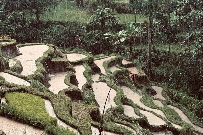 Ubud Top Tours to Discover Bali’s Cultural and Natural Wonders - Key things that make this day tour work