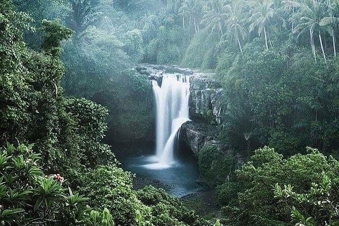Ubud Top Tours to Discover Bali’s Cultural and Natural Wonders - Sacred Monkey Forest Sanctuary: playful macaques and temple atmosphere
