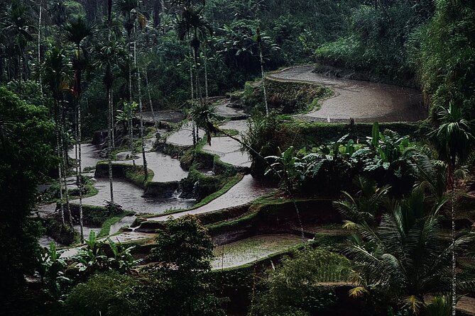 Ubud Top Tours to Discover Bali’s Cultural and Natural Wonders - Drivers who make the day smoother: names you may see and why it matters