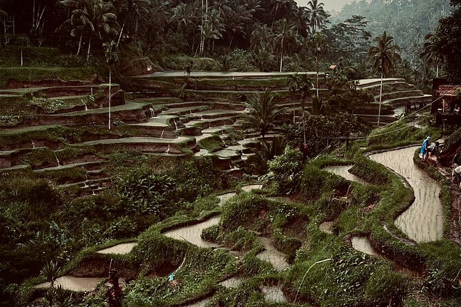 Ubud Top Tours to Discover Bali’s Cultural and Natural Wonders - Ulu Petanu waterfall: jungle calm plus a real cooldown