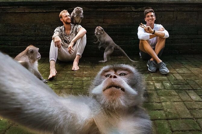 Ubud Tour-All Inclusive with Jungle Swing And Lunch - Sacred Monkey Forest Sanctuary and Celuk Village: two different sides of Ubud