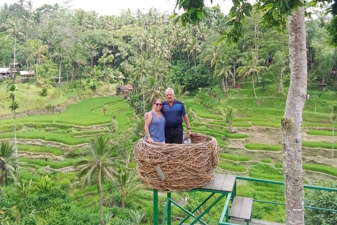Ubud Tour - Best of Ubud - All Inclusive - Why This Ubud Best-Of Day Works So Well