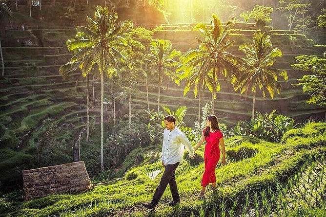 Ubud Tour : Best of Ubud with All inclusive - How This Ubud Best-of Day Feels: Easy Logistics, Big Sight Mix