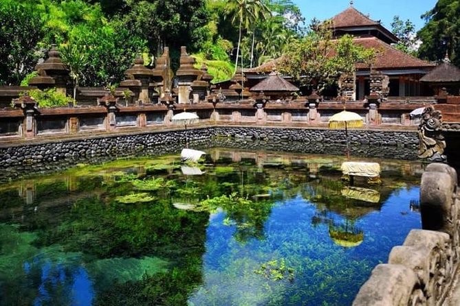 Ubud Tour : Best of Ubud with All inclusive - Tegalalang Rice Terrace Photos: Classic Views, Real Textures