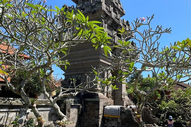 Ubud Tour - Highlight of Ubud - Traditional Tour - Price and value: what your $85 covers, and what it does not
