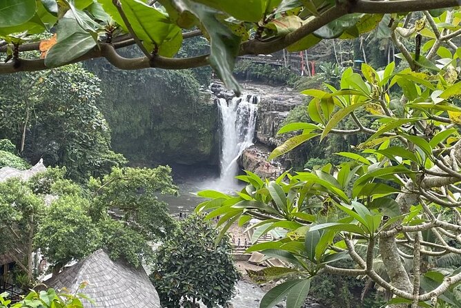 Ubud Tour - Highlight of Ubud - Traditional Tour - Making the most of 10 hours: pacing, comfort, and smart questions