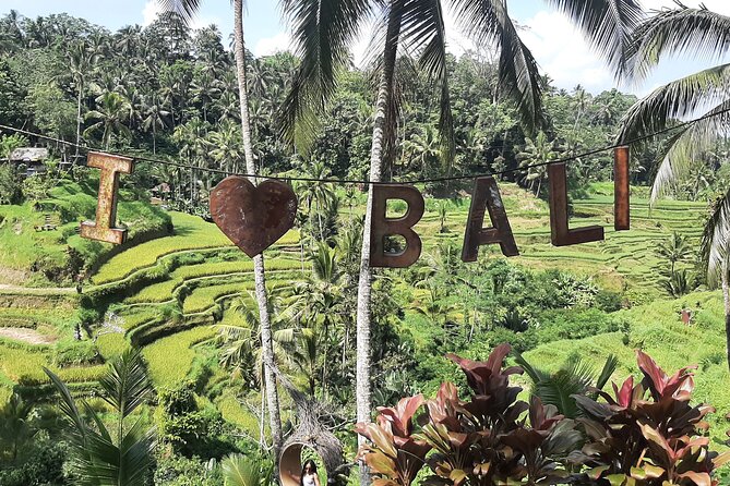 Ubud Tour - Highlights of Ubud - Tirta Empul Temple: Holy Spring Purification and the Meaning Behind It