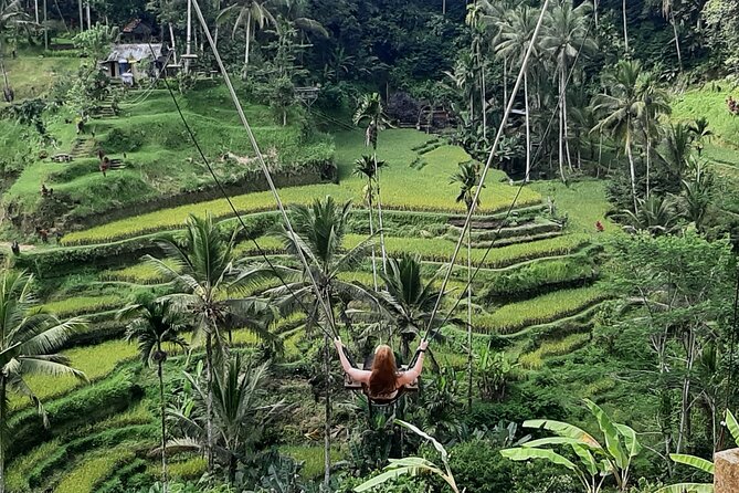 Ubud Tour - Highlights of Ubud - Sacred Monkey Forest Sanctuary: Close to Nature, With a Protected Setting