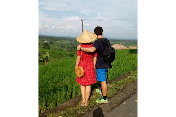 Ubud Tour Monkey Forest, Rice Terrace, Swing, Temple, Waterfall - The value of a Seminyak-to-Ubud private day