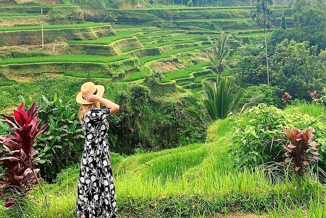 Ubud Tour - Ubud Highlight - Private Tour All inclusive - Price and Value: Why This $59 Full Day Can Add Up