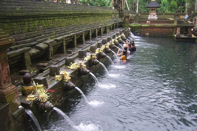 Ubud Tour - Ubud Highlight - Private Tour All inclusive - Tegalalang Rice Terrace: The View That Makes Ubud Make Sense