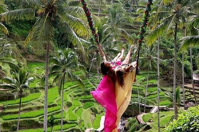 Ubud Tour Water Temple with Jungle Swing - Stop 4: Ubud Jungle Swing, the valley viewpoint you came for