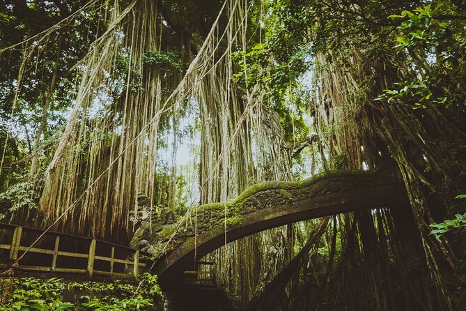 Ubud Tour Waterfall Rice Terrace Temple and Art Village - Tegalalang rice terraces and how Subak works
