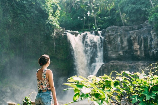 Ubud Tour Waterfall Rice Terrace Temple and Art Village - Price, entrance fees, and what the real cost looks like