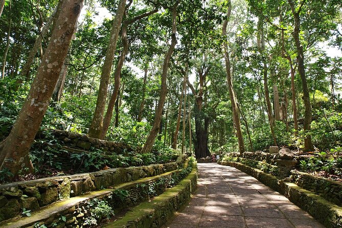 Ubud Tour With Monkey Forest, Rice Terrace, Waterfall, Temple - Key things to know before you go