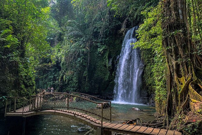 Ubud Tour With Monkey Forest, Rice Terrace, Waterfall, Temple - Tirta Empul Temple: the holy spring water experience