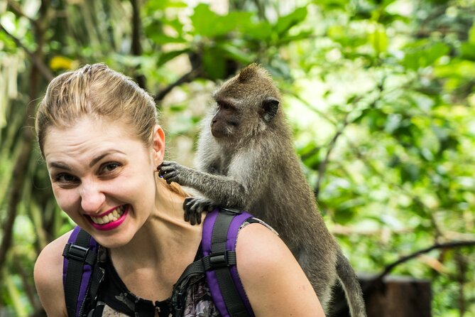 Ubud Tour with Swing, Temple, Monkey Forest, and Waterfall - Skip the Traffic: Your Private Driver Makes Ubud Feel Easy