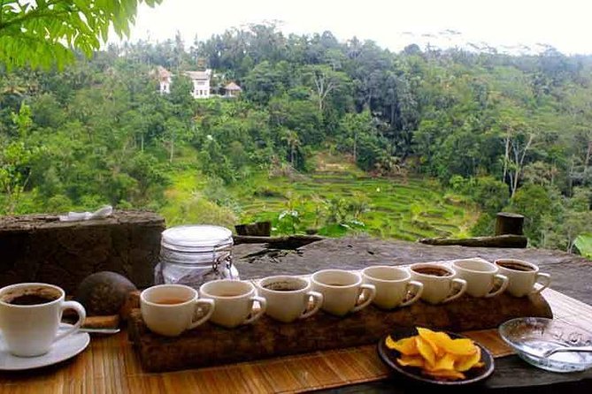 Ubud Trip, The Best of Ubud in a day - All Inclusive - Tegalalang Rice Terrace: classic Ubud views, paced for real viewing