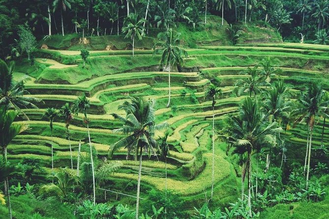 Ubud Trip, The Best of Ubud in a day - All Inclusive - What makes the guide the real centerpiece (Ketut, Katut, Putu)