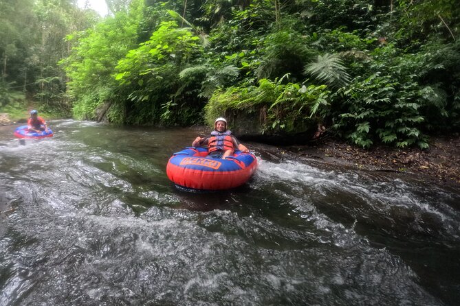 Ubud Tubing Adventure Holy Spring Temple Private Guided Tour - Should You Book This Ubud Tubing and Holy Temple Tour?
