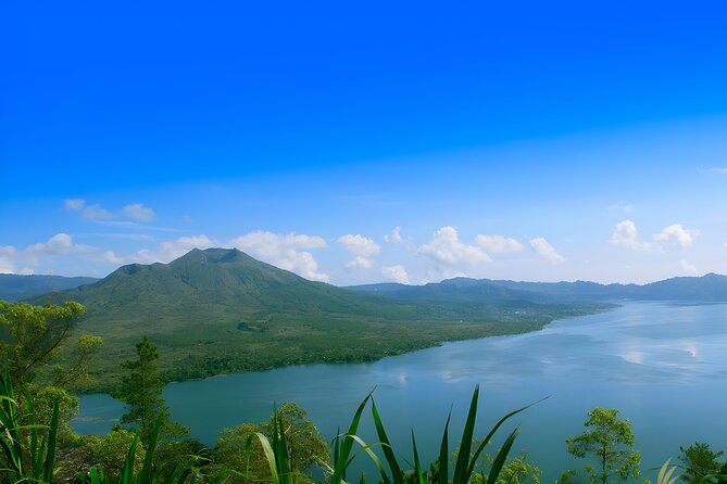 Ubud Village, Waterfall and Kintamani Volcano Tour - Stop 4: Tegalalang Rice Terrace, where photos meet local history