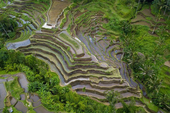 Ubud Volcano Lake and Natural Hot Spring Tour - How the 10-hour private format works in real Bali traffic