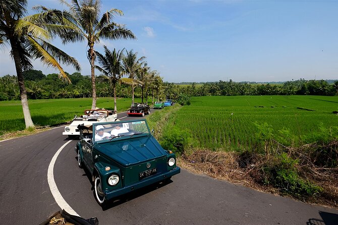 Ubud VW Safari Bali Tour - Volkswagen Classic Car Trip - Key things that make this Ubud VW Safari tour worth it