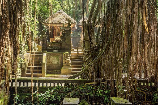Ubud: Waterfall, Rice Terraces, and Monkey Forest Private Tour - Price and logistics: what you get for $65 per person