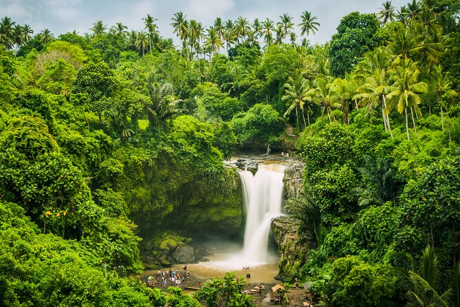 Ubud waterfall, rice terraces, and swing explore - What you actually pay: $41 value check