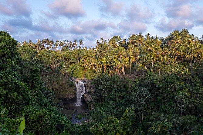Ubud waterfall, rice terraces, and swing explore - The kind of guide that makes the day feel easy