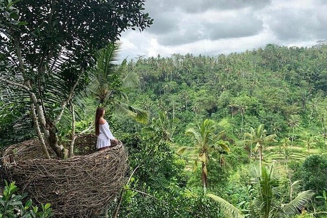 Ubud waterfall, rice terraces, and swing explore - Who this tour is best for