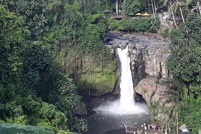 Ubud Waterfall Swing And Spring Temple Private Guided Tour - What makes this Ubud private tour feel flexible