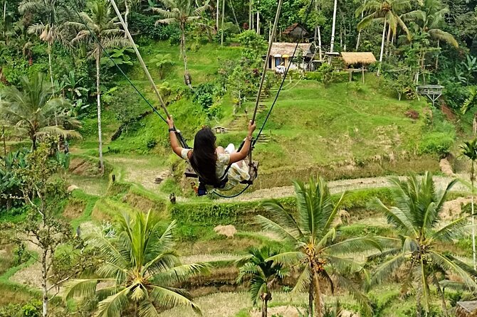 Ubud Waterfall Swing And Spring Temple Private Guided Tour - Tegalalang Rice Terrace: viewpoint photos plus a guided walk