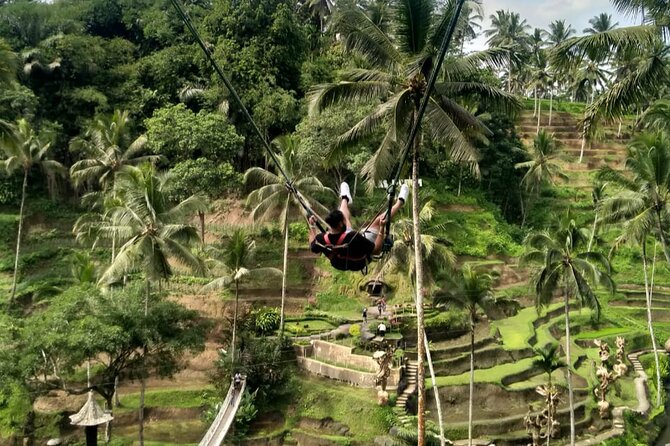 Ubud Waterfall Swing And Spring Temple Private Guided Tour - Tirta Empul Temple: the spring water and Melukat meaning