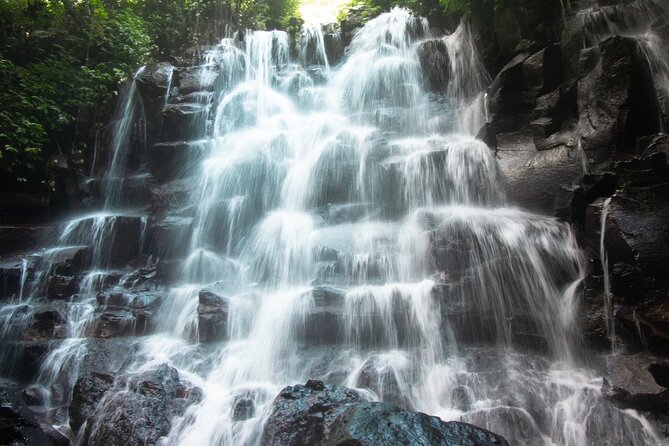 Ubud Waterfalls and Rice Terraces Private Day Tour - The “Private Day” Reality: What It Means For You