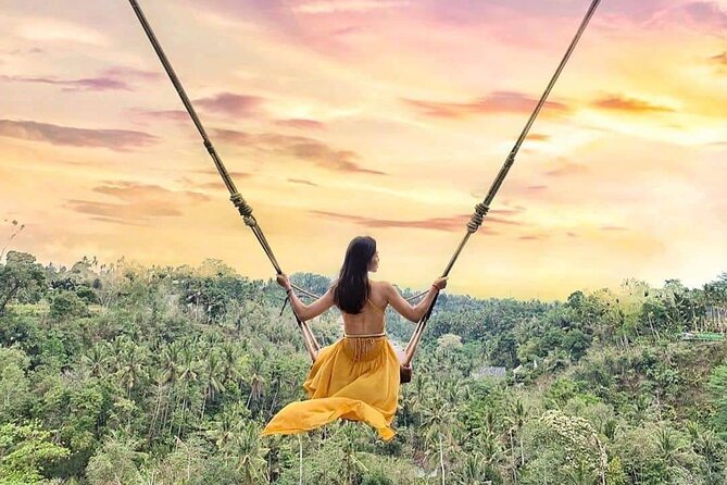 Ubud Waterfalls, Rice Terrace & Jungle Swing - Private Tour - Price and Logistics: Where the Value Really Comes From