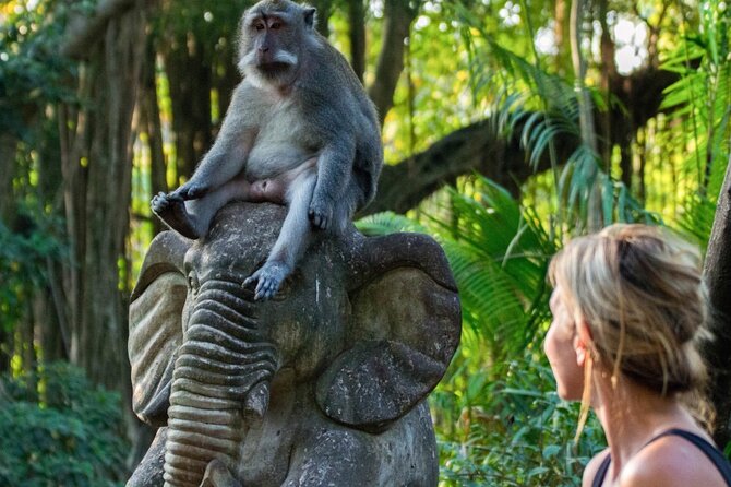 Ubud: Waterfalls, Rice Terraces, and Monkey Forest Private Tour - Stop 1, Puseh Batuan Temple and the Sarong Moment