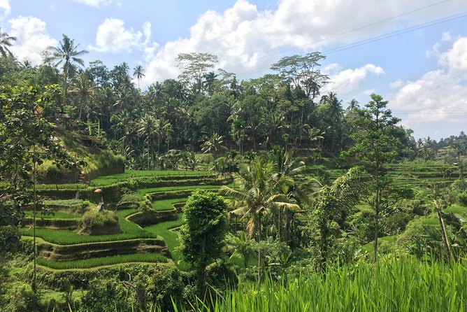 Ubud: Waterfalls, Rice Terraces, and Monkey Forest Private Tour - How to Dress and Pack for a Fast, Hot, Four-Stop Day