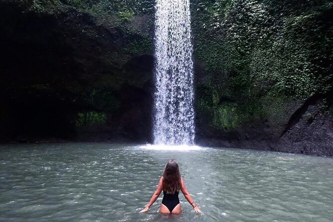 Ubud Waterfalls, Temple and Rice Terrace - Private Tour - Key Things You Get in This Ubud Private Day