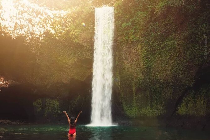 Ubud Waterfalls, Temple and Rice Terrace - Private Tour - Pickup, Comfort, and Why the Price Works