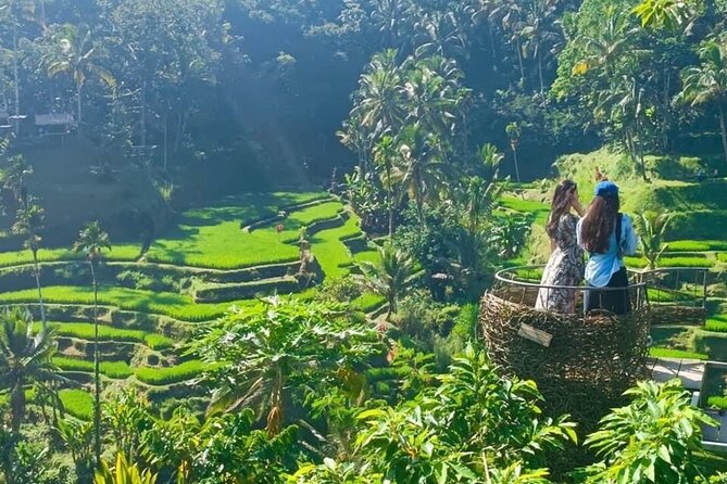 Ubud Waterfalls, Temple & Rice Terrace Guided Tour - What the $22.91 price usually covers, and what to pay for later