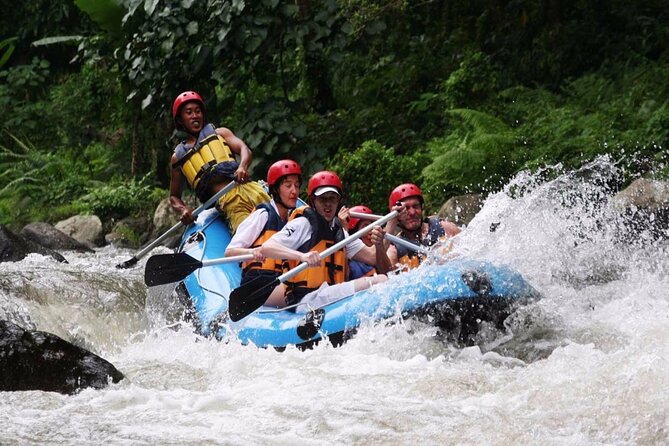 Ubud White Water Rafting with Waterfall and Lunch - Key highlights to know before you go